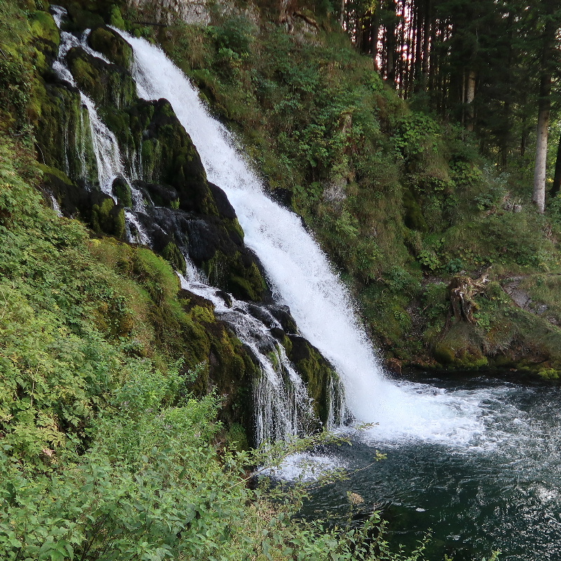 Source du Jaun
